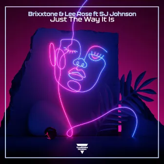 Just The Way It Is by Brixxtone