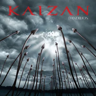 Dandelion by Kaizan