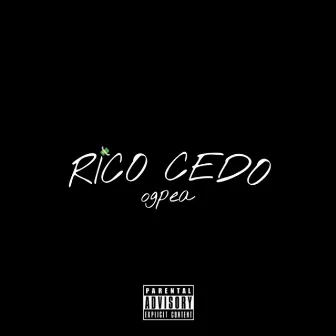 Rico Cedo by ogpea