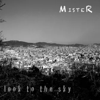 Look To The Sky by MISTER