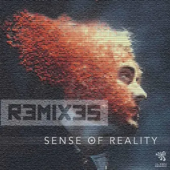 Sense of Reality Remixes by Basscannon