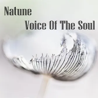 Voice Of The Soul by Natune