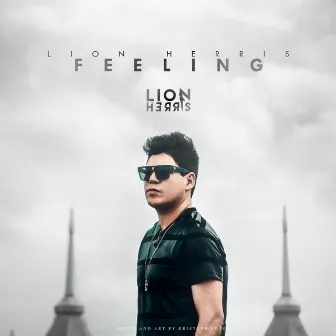 Feeling by Lion Herris