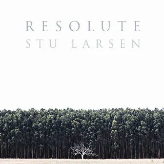 Resolute by Stu Larsen