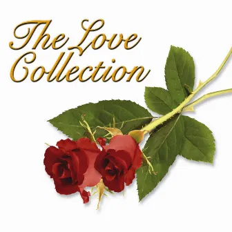 The Love Collection by The Sign Posters