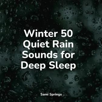 Winter 50 Quiet Rain Sounds for Deep Sleep by Lightning, Thunder and Rain Storm