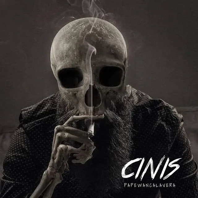 Cinis