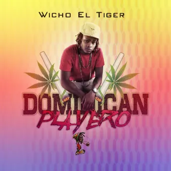 Dominican Playero by Wicho El Tiger