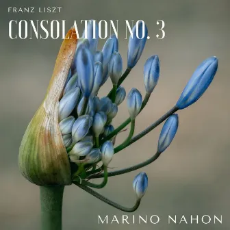 Consolations, S. 172: No. 3, Lento placido (Live) by Marino Nahon