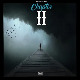 Chapter 2. by Triple Entray