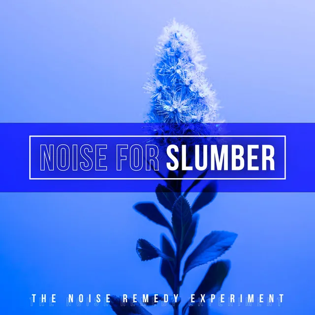 Noise for Slumber