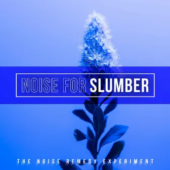 Noise for Slumber by Unknown Artist