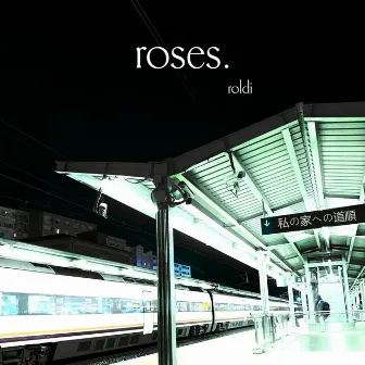 roses by roldi