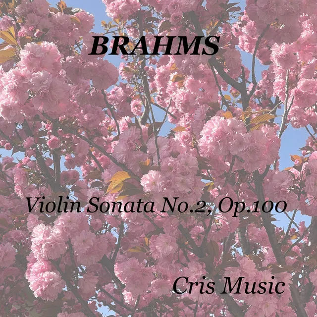 Brahms: Violin Sonata No.2, Op.100