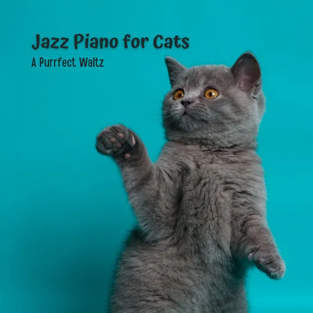 Jazz Piano for Cats: A Purrfect Waltz