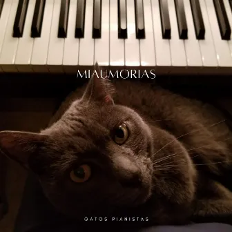 Miaumorias: Gatos Pianistas by Jazz Lista de reproducción