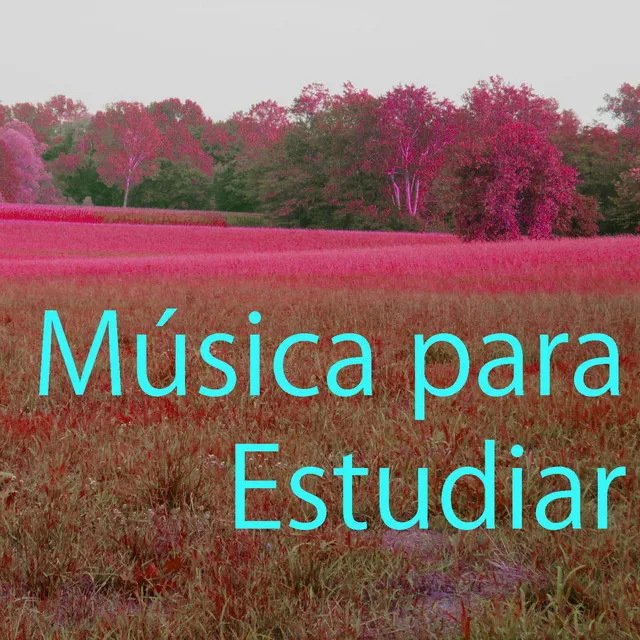 Música para Estudiar 4