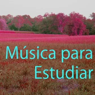 Música para Estudiar 4 by Mente Abierta