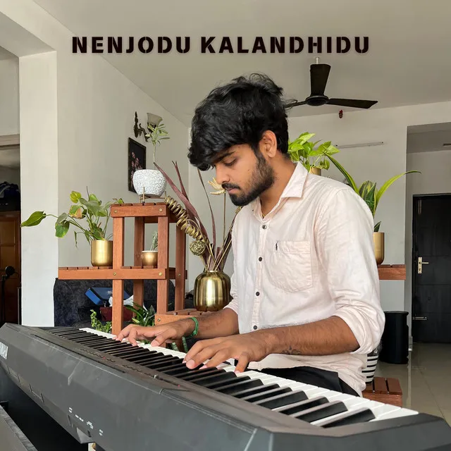 Nenjodu Kalandhidu - Piano Version