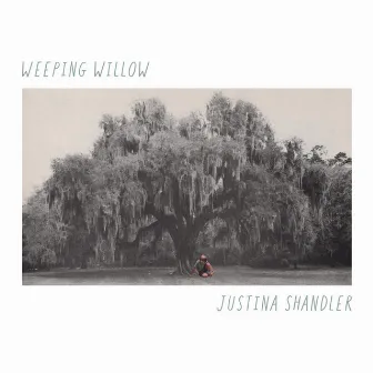 Weeping Willow by Justina Shandler