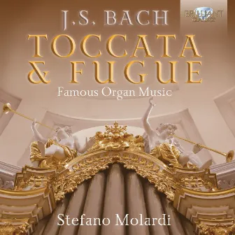 J.S. Bach: Toccata & Fugue - Famous Organ Music by Stefano Molardi