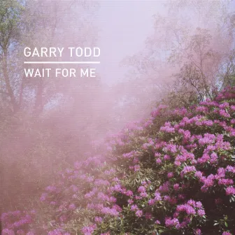 Wait For Me by Garry Todd