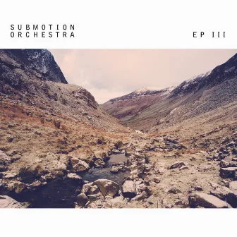 III by Submotion Orchestra