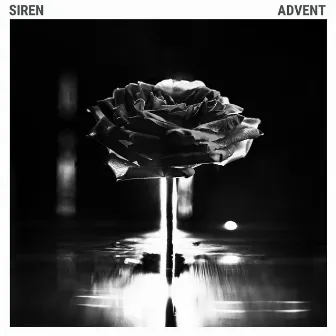 Advent by SIREN