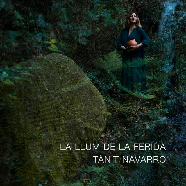 La llum de la ferida