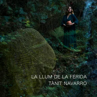 La llum de la ferida by Tànit Navarro