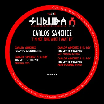 Im Not Sure What I Want Ep by Carlos Sánchez