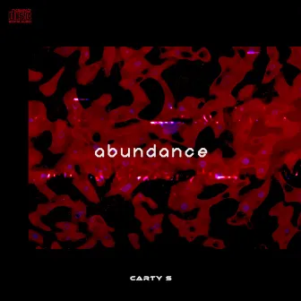 Abundance by Carty S