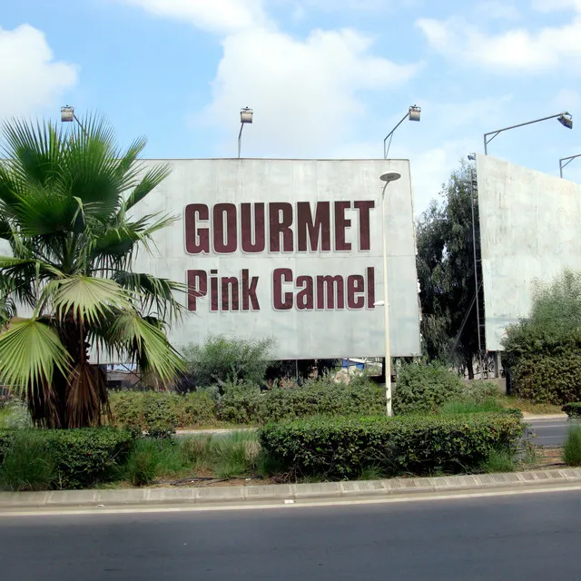 Pink Camel