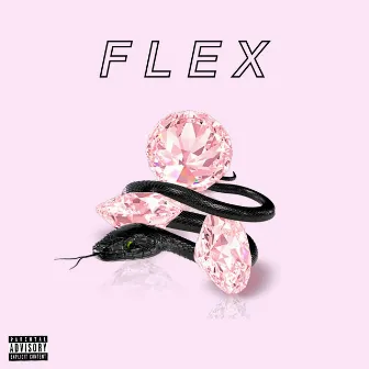 Flex by Divide