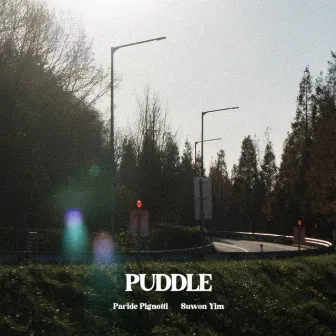 Puddle by Paride Pignotti