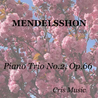 Mendelsshon: Piano Trio No.2, Op.66 by Albert Sammons