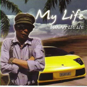 My Life by Bunny Lie Lie