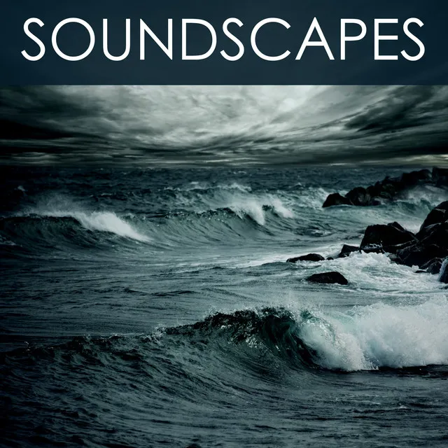 Soundscapes - Relaxing Natural Sound & Soothing Healing Songs for Mindfulness Meditation, Yoga, Spa Relaxation, Deep Sleep & Baby Sleep Lullabies