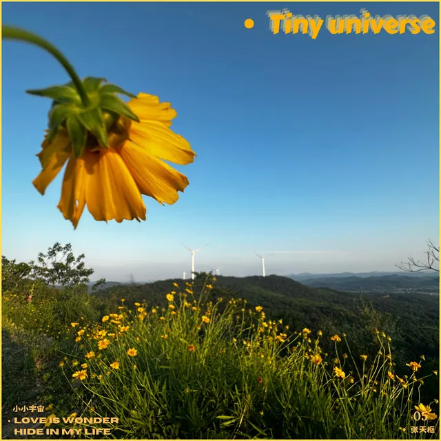 Tiny Universe