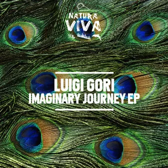 Imaginary Journey by Luigi Gori