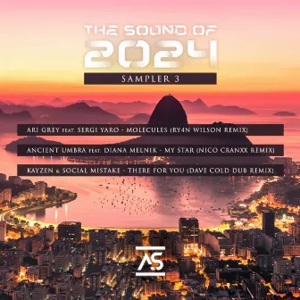 The Sound of 2024 Sampler 3 by RY4N W1LSON