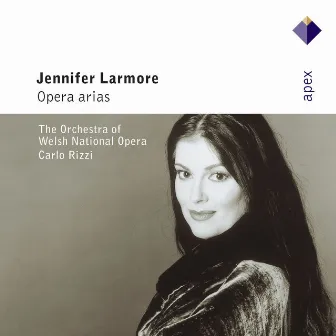 Opera Arias [Call Me Mister] (Apex) by Jennifer Larmore