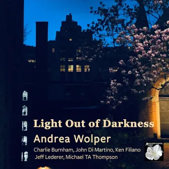 Light Out of Darkness by Andrea Wolper