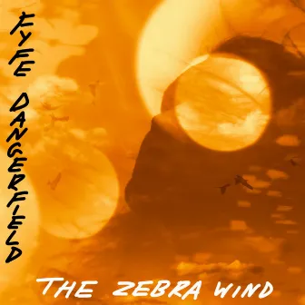 The Zebra Wind by Fyfe Dangerfield