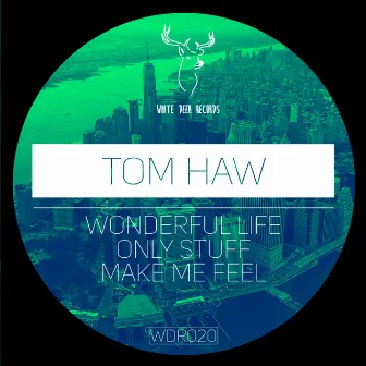 Wonderful Life EP by Tom Haw