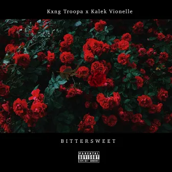 Bittersweet by King Troopa