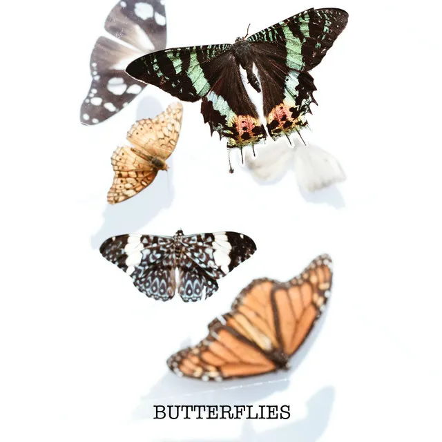 Butterflies