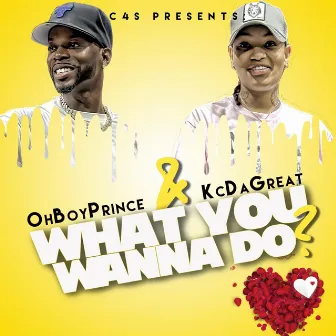 What You Wanna Do by Kcdagreat