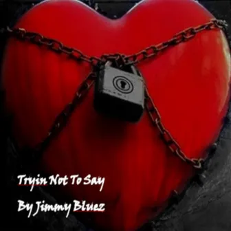 Tryin Not 2 Say by Jimmy Bluez