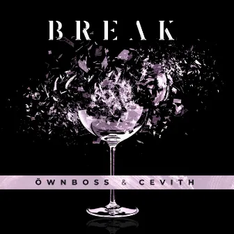 Break by CEVITH